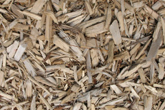 biomass boilers Craigellachie